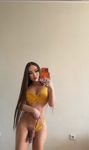 Транс Алматы Транс№223735 Нэля Приват Канал на Продажу Фотография №4243606
